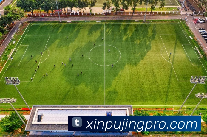 澳门新葡京娱乐城网址APP 封面图
